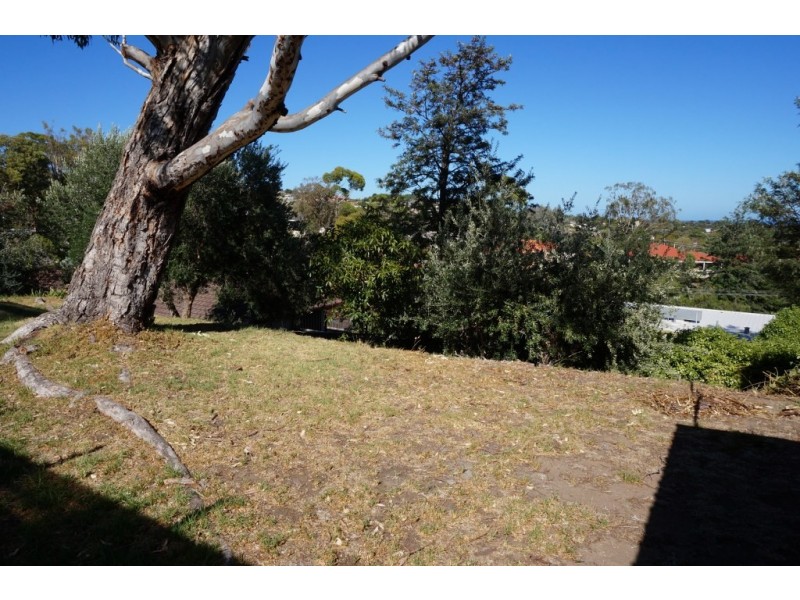 18 Francis Street, Bedford Park SA 5042