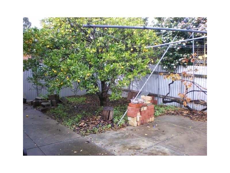 53A Arthur Street, Plympton Park SA 5038