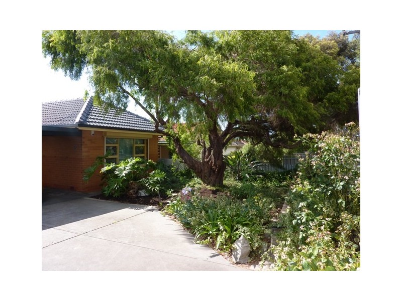 86 Cashel Street, St Marys SA 5042