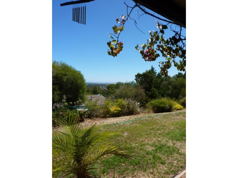 38 Alma Street, Panorama SA 5041