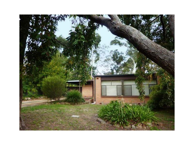 13 Brolga Avenue, Glenalta SA 5052