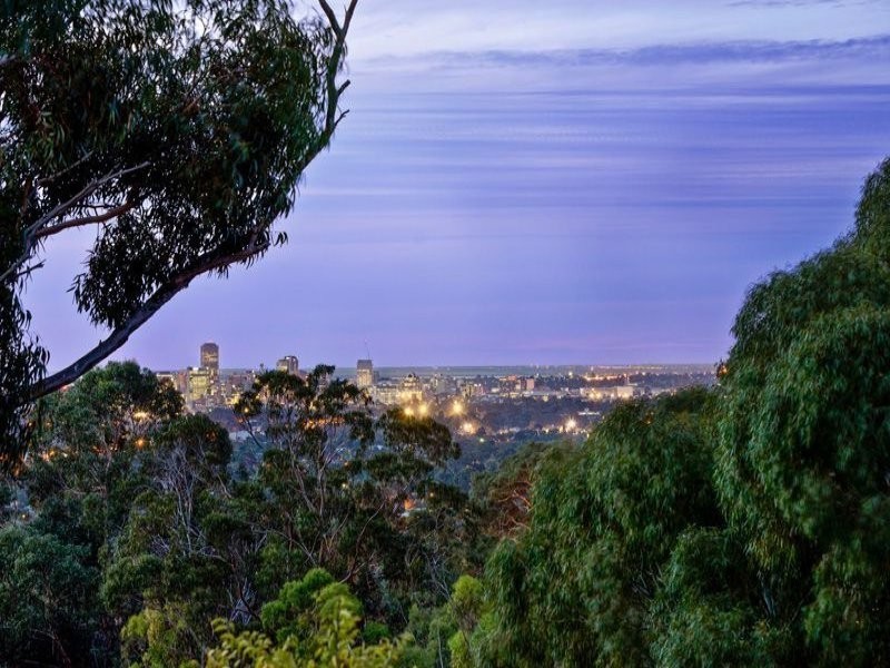 10 Barina Crescent, Mitcham SA 5062