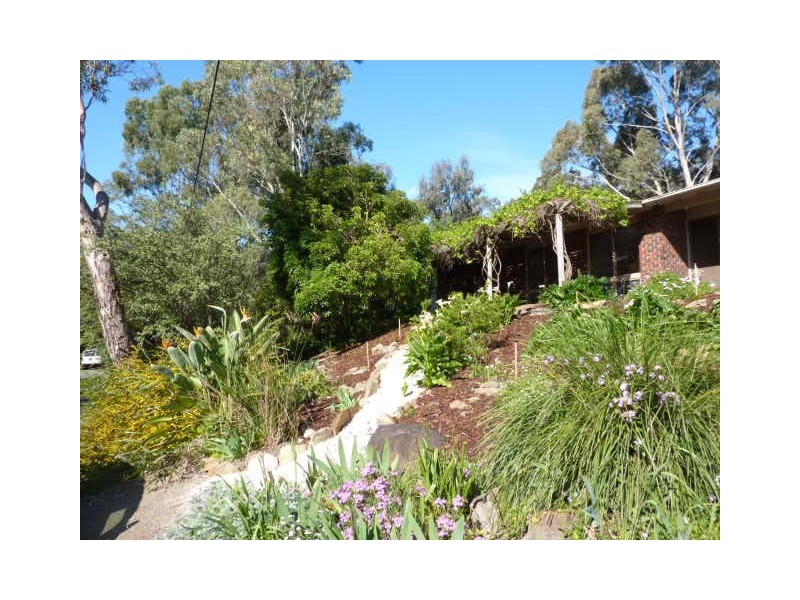 15 Clematis Drive, Blackwood SA 5051