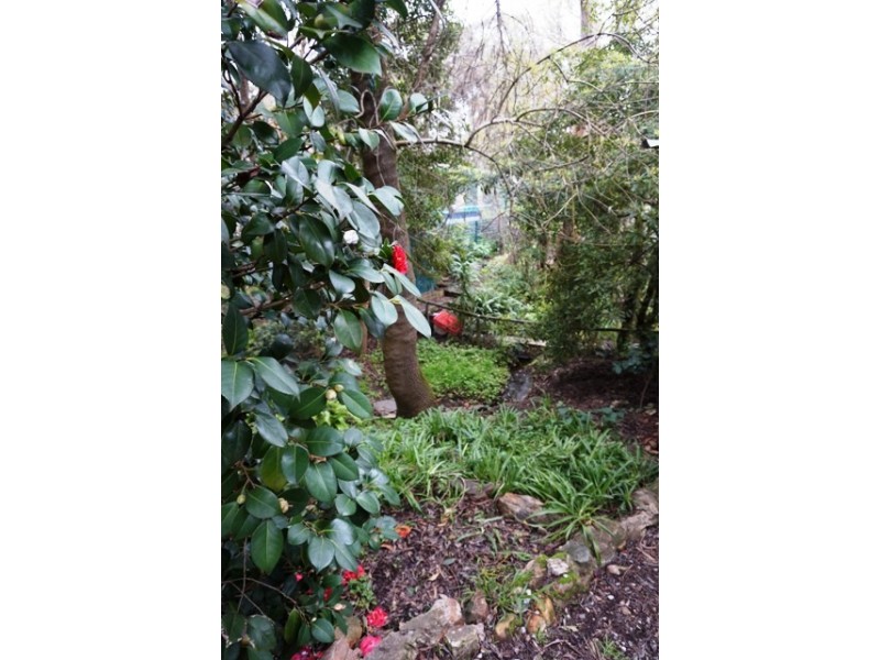 18 Gladstone Road, Blackwood SA 5051