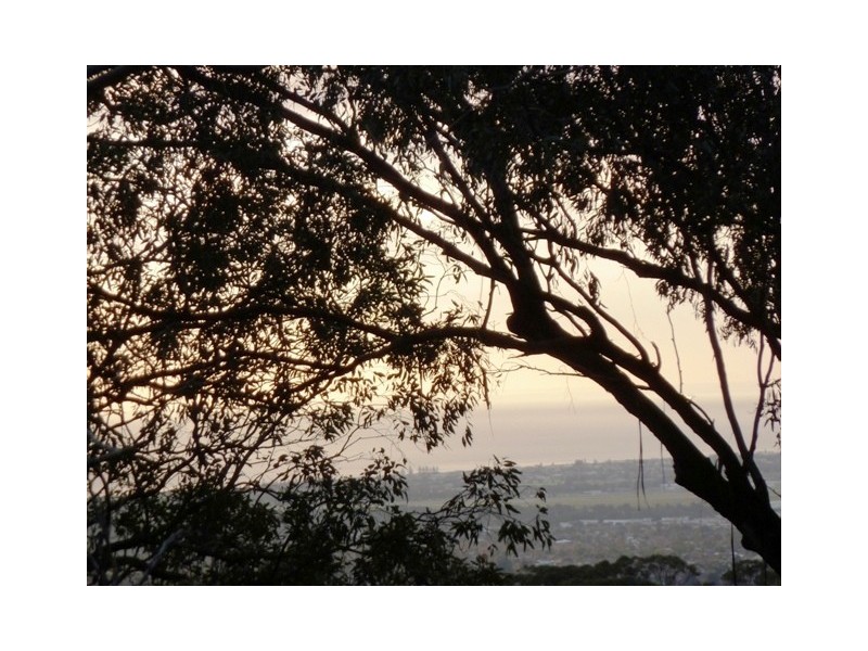 125 Gloucester Ave, Belair SA 5052