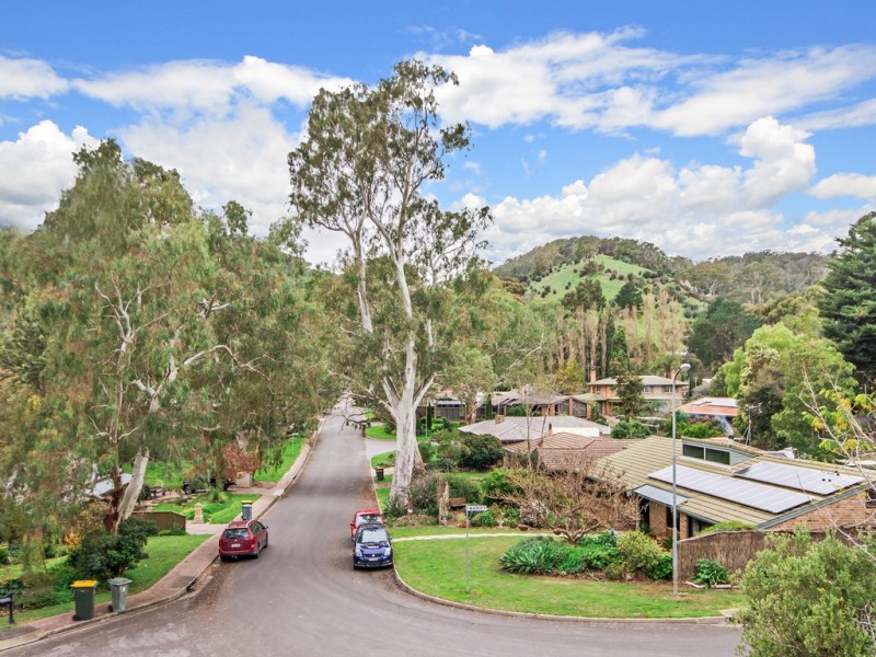 14 McKenzie Street, Coromandel Valley SA 5051