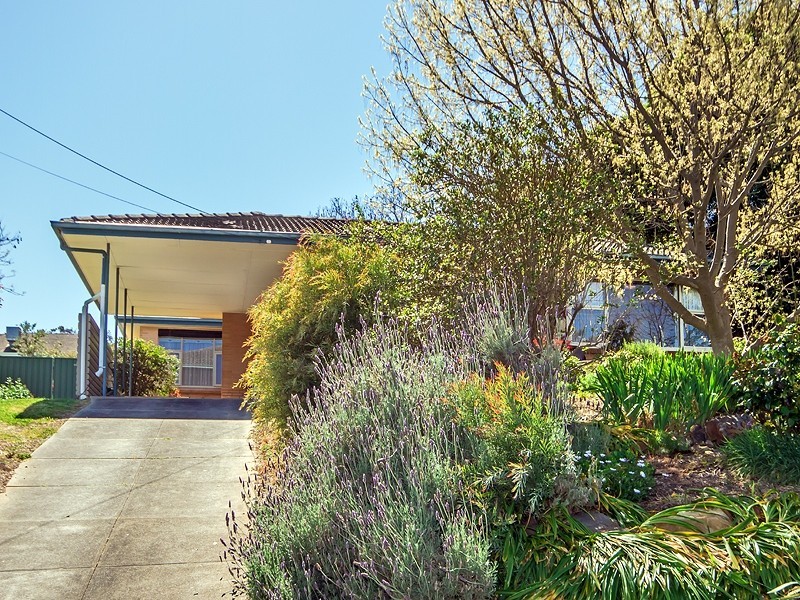 7 Deepdene Avenue, Bellevue Heights SA 5050