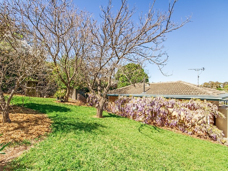 7 Deepdene Avenue, Bellevue Heights SA 5050