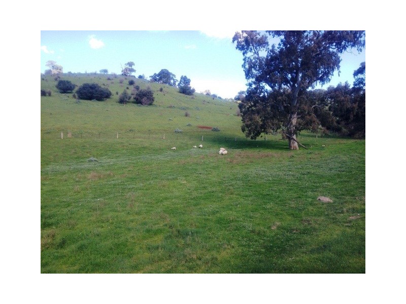 11 Mews Way, Coromandel Valley SA 5051