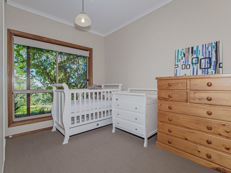 31 Crane Avenue, Coromandel Valley SA 5051