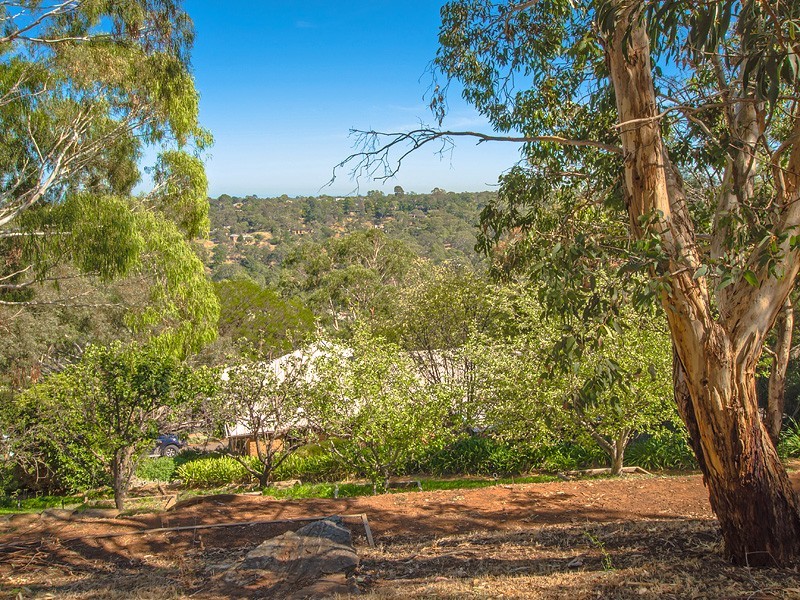 31 Crane Avenue, Coromandel Valley SA 5051