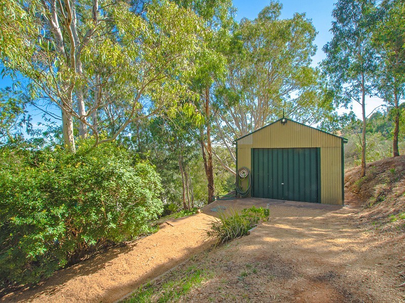 31 Crane Avenue, Coromandel Valley SA 5051