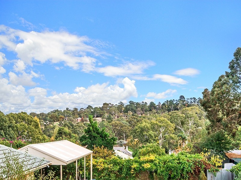 8 Crane Avenue, Coromandel Valley SA 5051