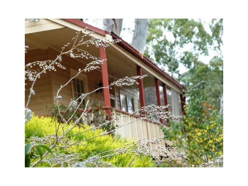 51A Myrtle Road, Hawthorndene SA 5051