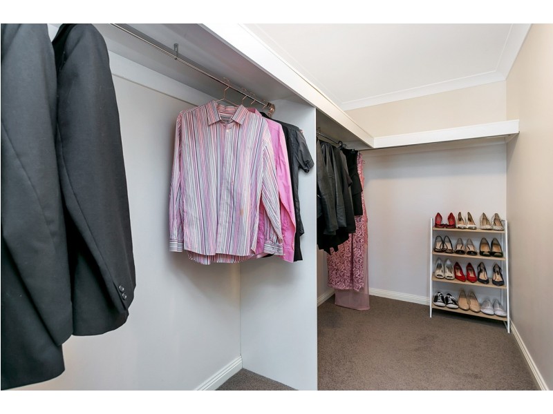 3 Rogerson Cct, Craigburn Farm SA 5051