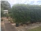 72 Avenue Road, Clarence Gardens SA 5039