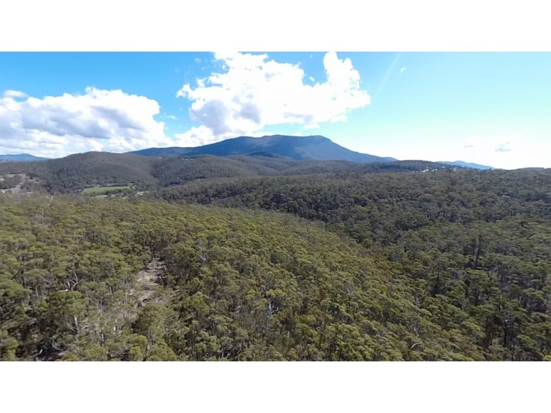 22 Lalwinya Road, Mount Nelson TAS 7007