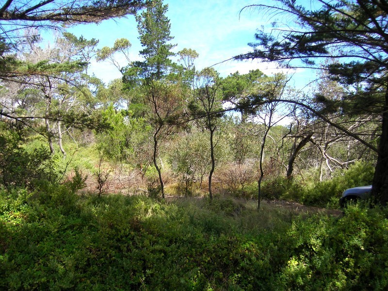 29 Thompson Way, Clifton Beach TAS 7020