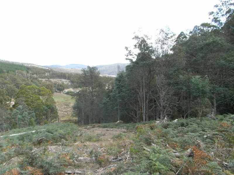0 Wallis Road, Judbury TAS 7109