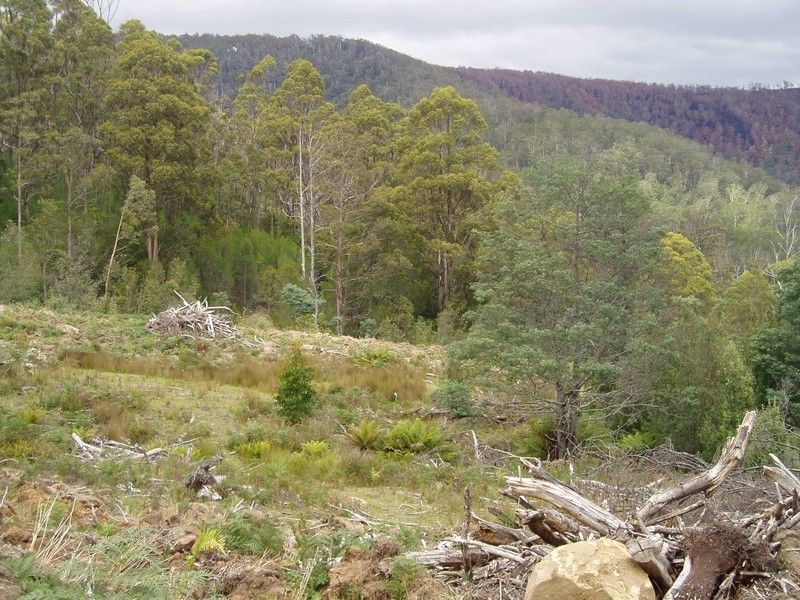 0 Wallis Road, Judbury TAS 7109