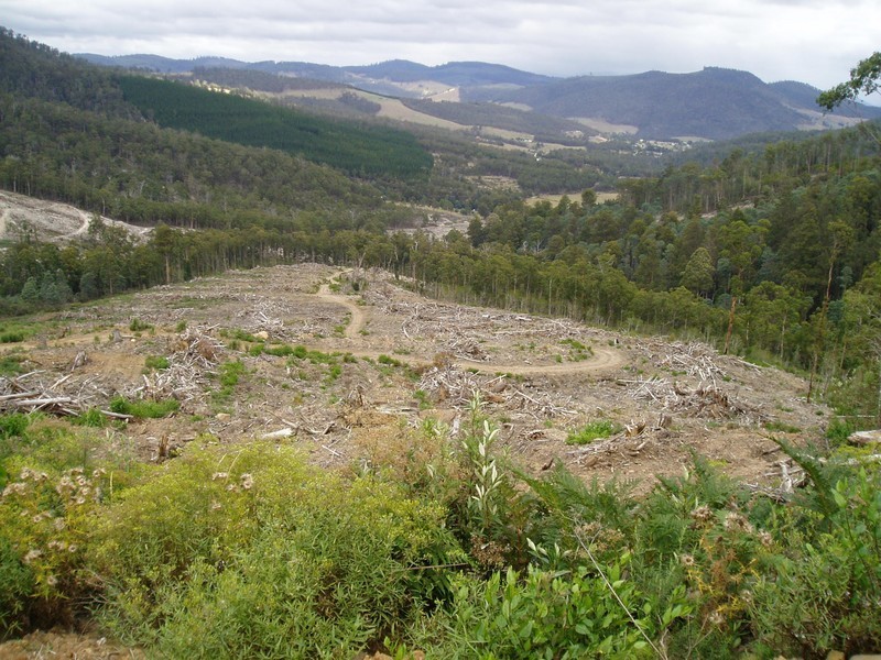 0 Wallis Road, Judbury TAS 7109