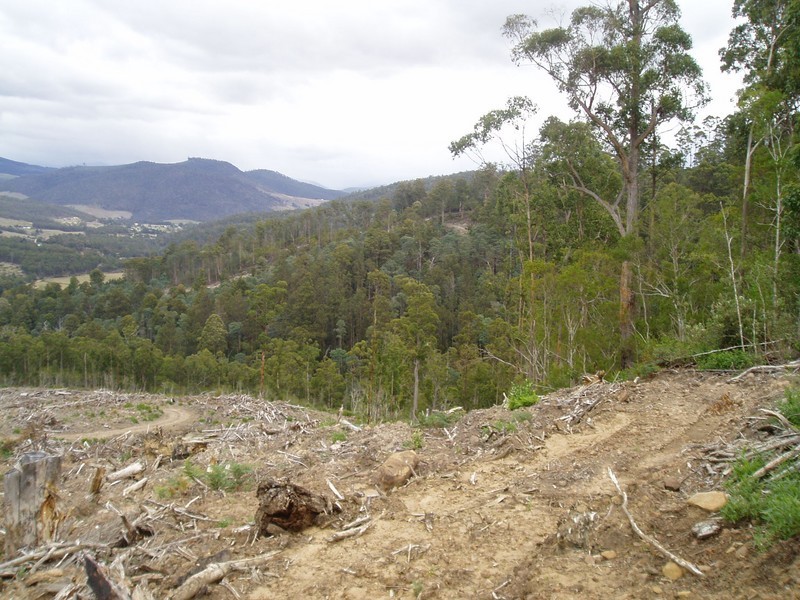 0 Wallis Road, Judbury TAS 7109