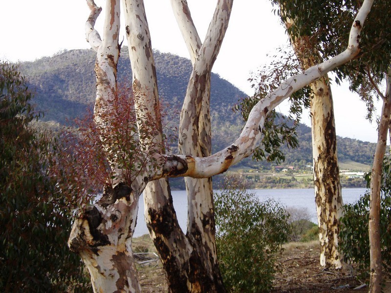 3/46 Churinga Waters Drive, Old Beach TAS 7017