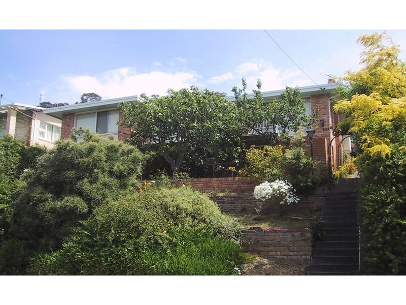 236 Churchill Avenue, Sandy Bay TAS 7005