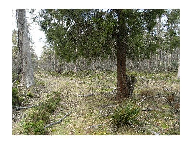 0 Loxton Road, Colebrook TAS 7027