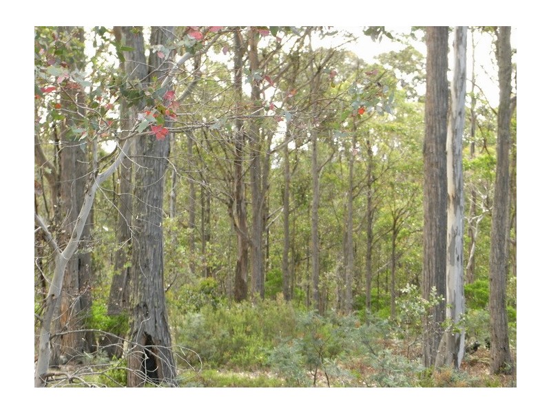 0 Loxton Road, Colebrook TAS 7027