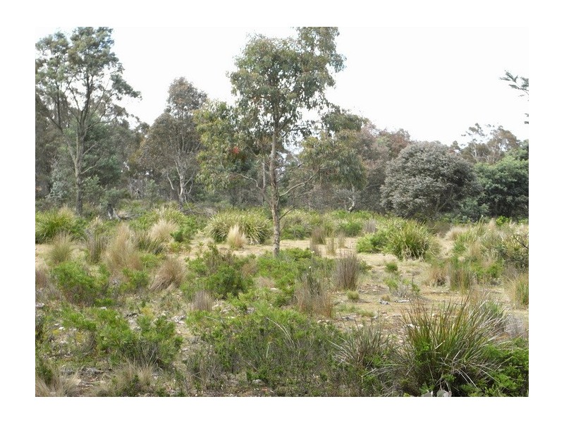 0 Loxton Road, Colebrook TAS 7027