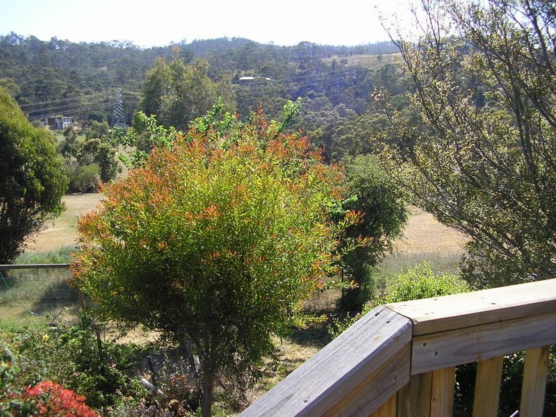 429 Pass Road, Cambridge TAS 7170