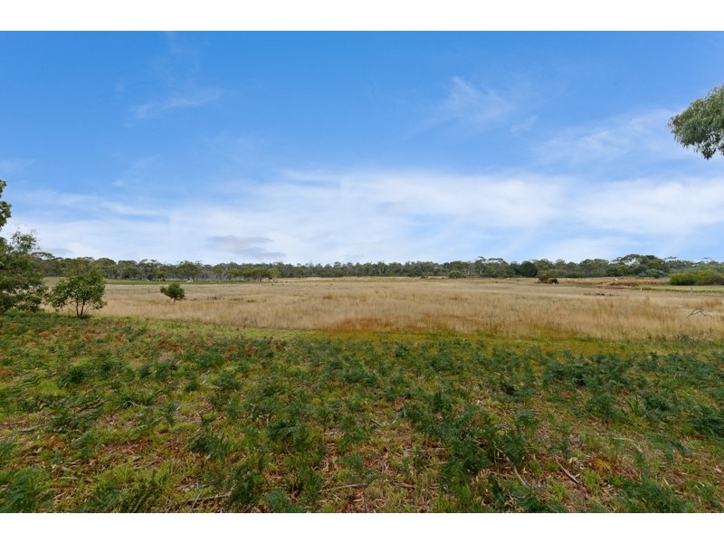 57 Carlton River Road, Dodges Ferry TAS 7173