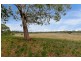 57 Carlton River Road, Dodges Ferry TAS 7173