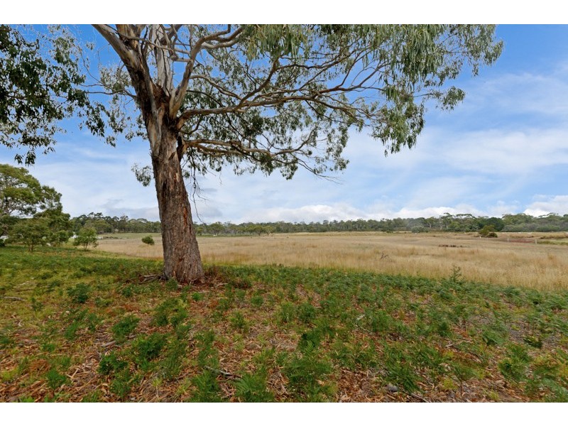 57 Carlton River Road, Dodges Ferry TAS 7173