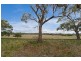 57 Carlton River Road, Dodges Ferry TAS 7173