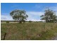 57 Carlton River Road, Dodges Ferry TAS 7173
