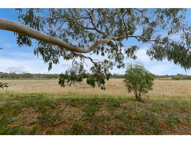 57 Carlton River Road, Dodges Ferry TAS 7173