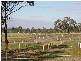 1125 Acton Road, Cambridge TAS 7170