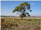 Lot 14 Sunrise Estate, Cambridge TAS 7170