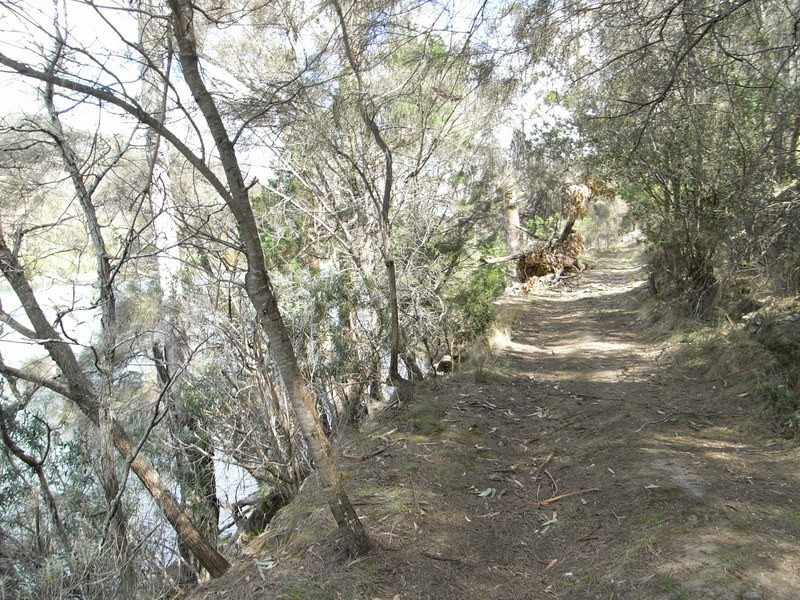 Orford TAS 7190