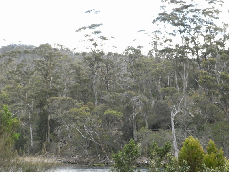 Orford TAS 7190