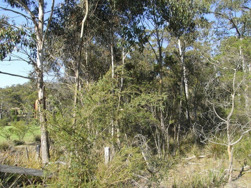 Orford TAS 7190