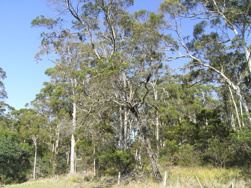 Orford TAS 7190