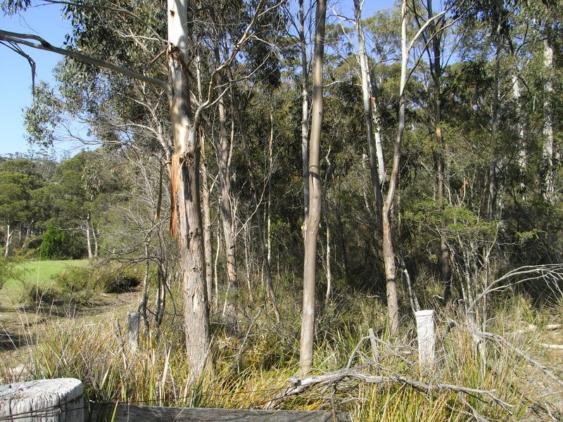 Orford TAS 7190