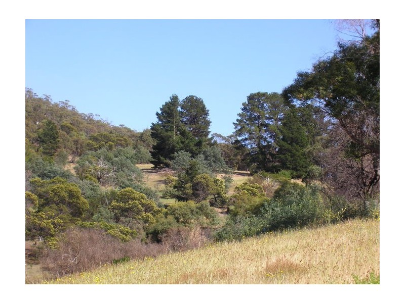 461 East Derwent Highway, Geilston Bay TAS 7015