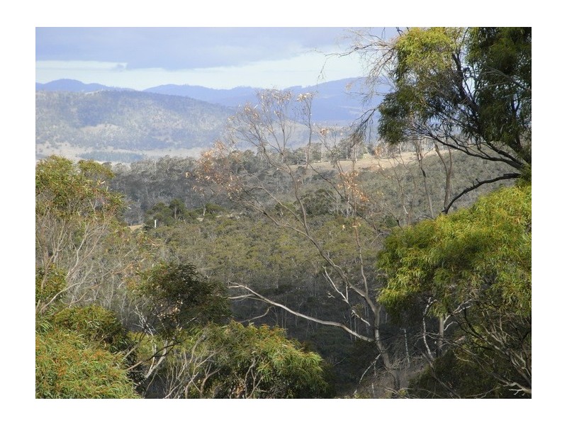 858 Grasstree Hill Road, Grasstree Hill TAS 7017