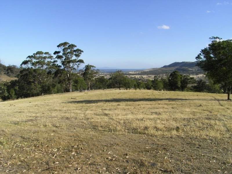 445 Brinktop Road, Penna TAS 7171