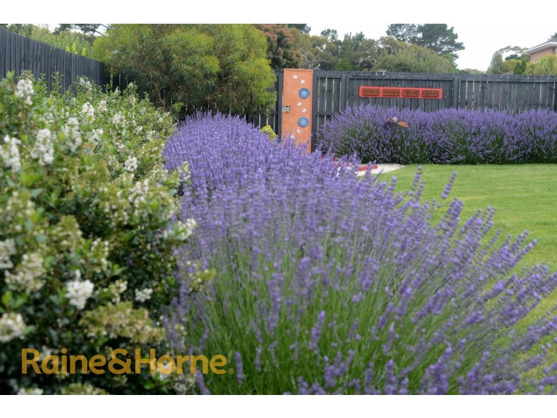 13 Vivalenett Close, Seven Mile Beach TAS 7170