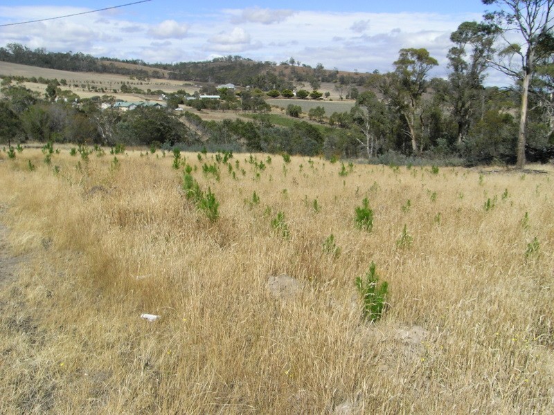 560 Fingerpost Road, Orielton TAS 7172
